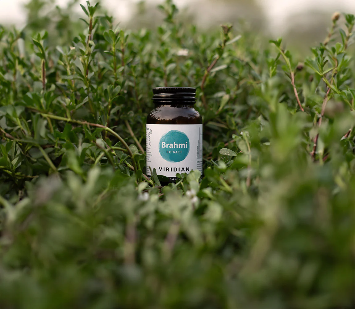 Brahmi Extract - Image 3