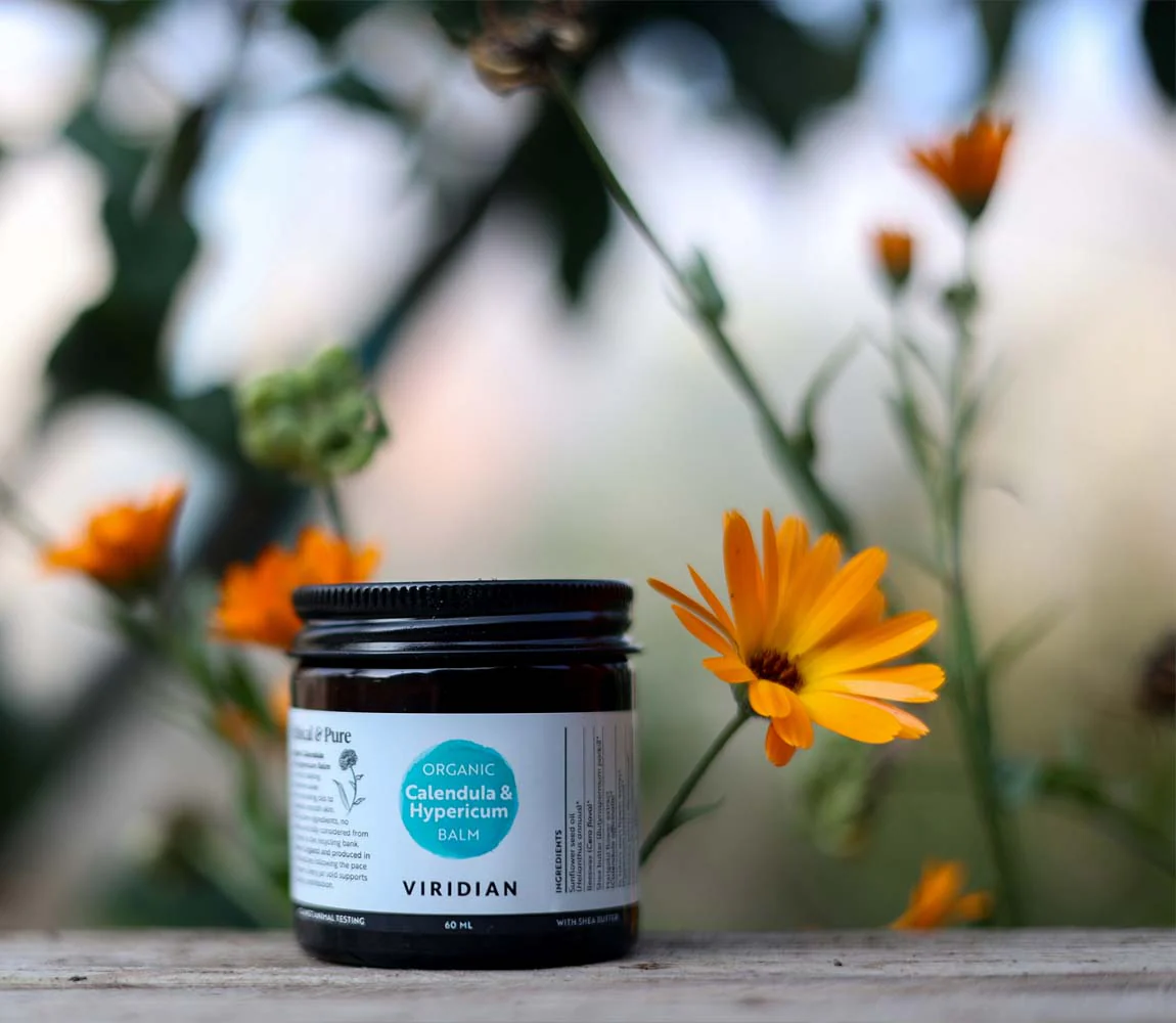 Calendula & Hypericum Organic Balm 60ml - Image 3