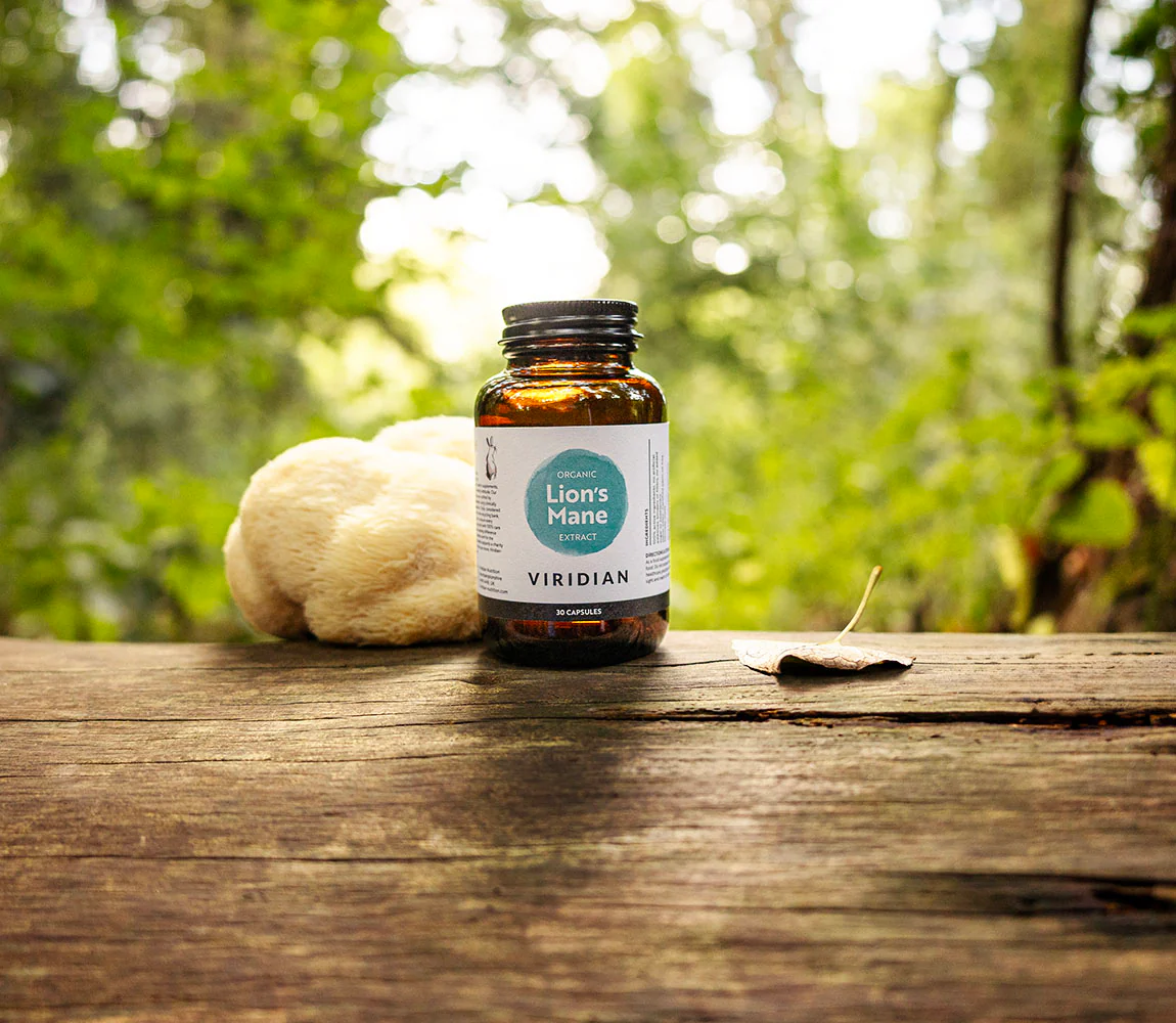 Organic Lion's Mane Extract - Image 4